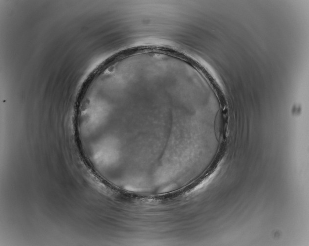 X0000100950783200807221120