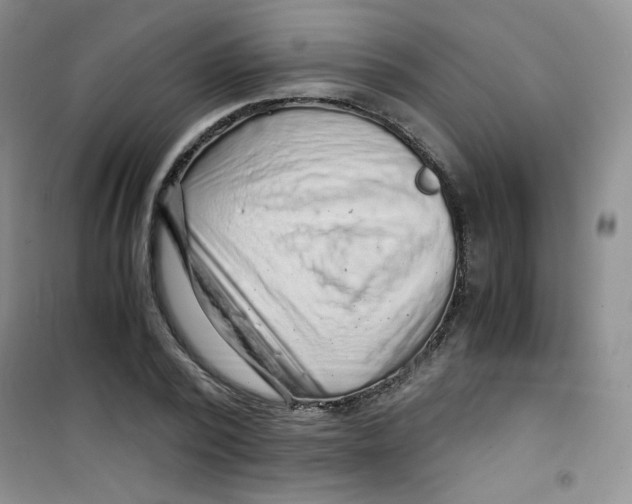 X0000100950784200807221120