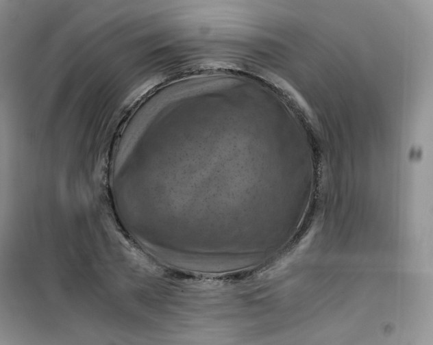 X0000100950785200807221120