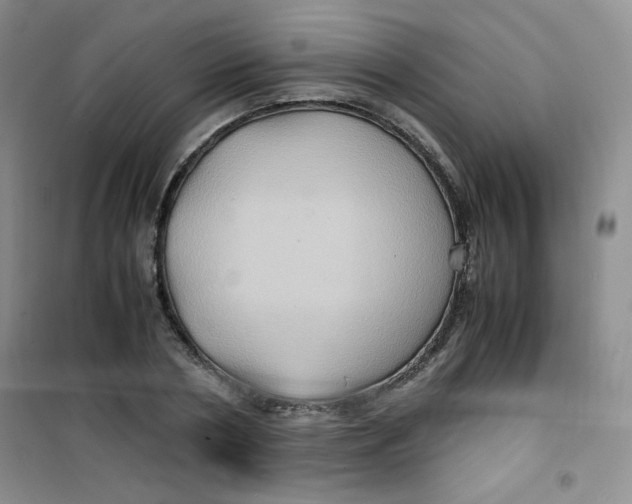 X0000100950786200807221120