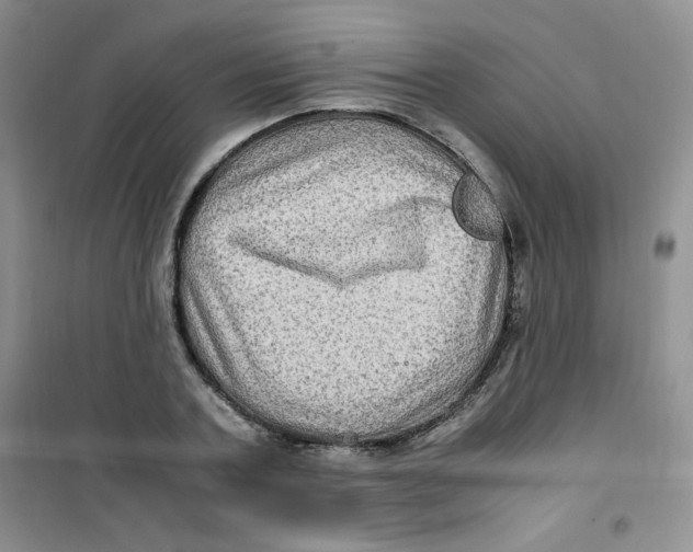 X0000100950787200807221120