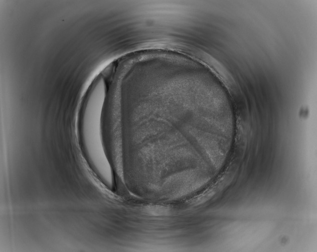 X0000100950788200807221120