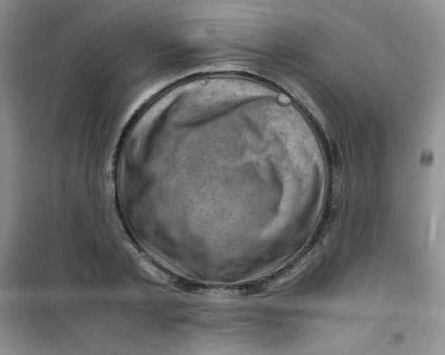 X0000100950789200807221120