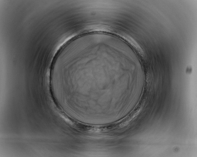 X0000100950790200807221120