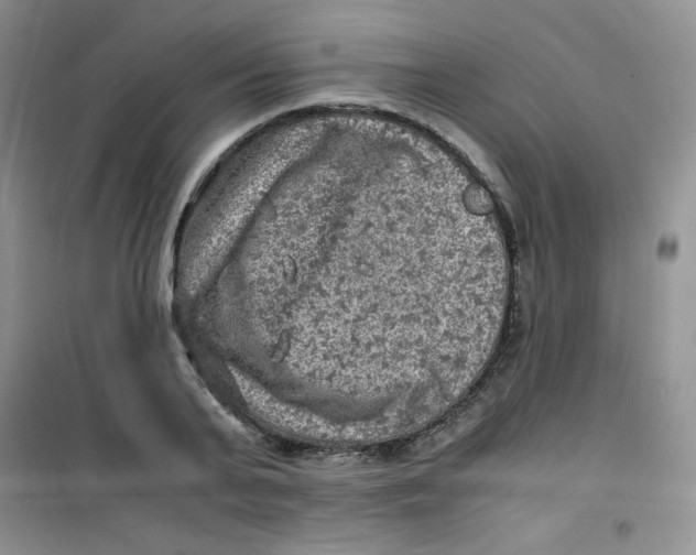 X0000100950791200807221120