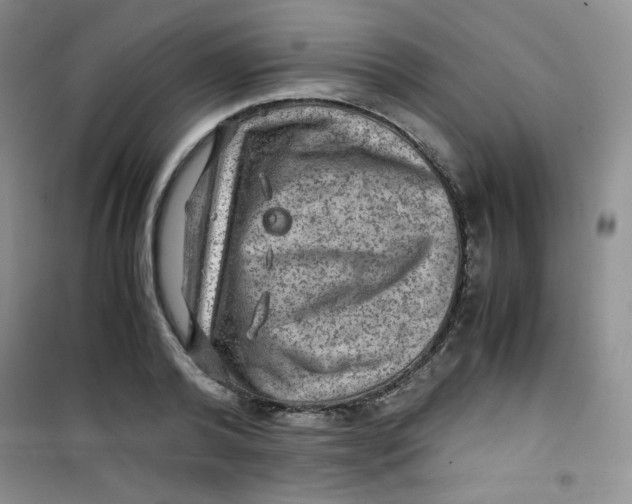 X0000100950792200807221120