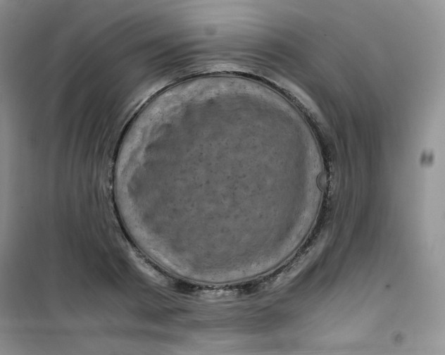 X0000100950793200807221120