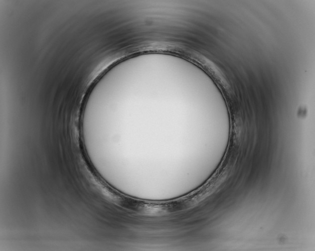 X0000100950794200807221120