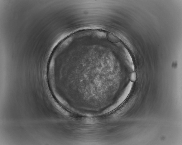 X0000100950797200807221120