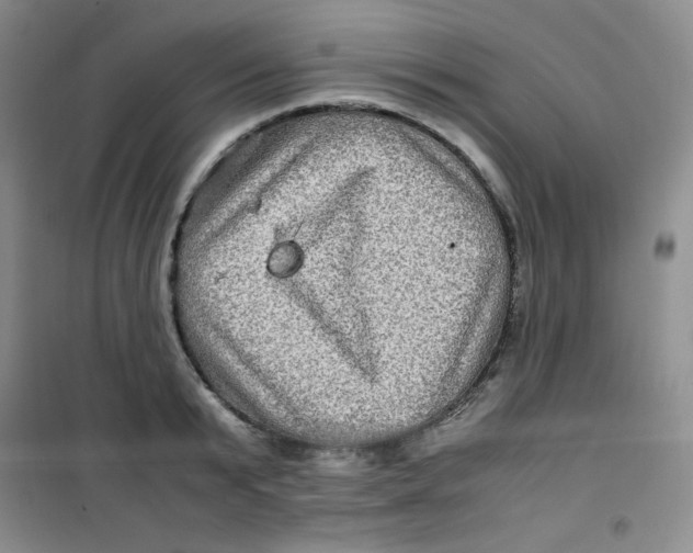 X0000100950799200807221120