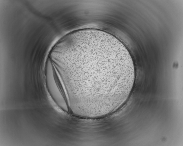 X0000100950800200807221120