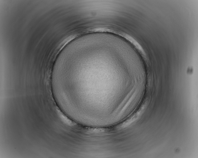 X0000100950801200807221120