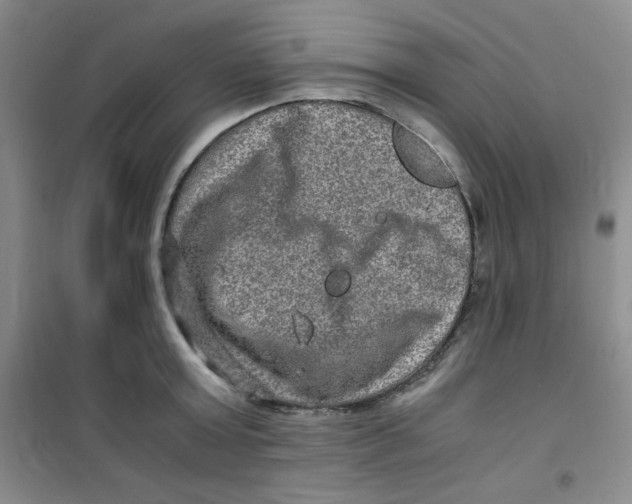 X0000100950803200807221120