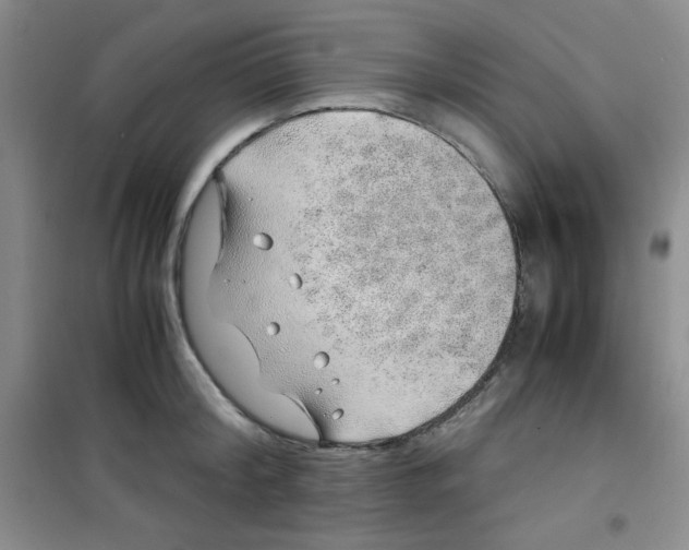 X0000100950804200807221120