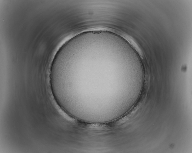 X0000100950805200807221120