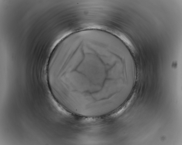 X0000100950806200807221120