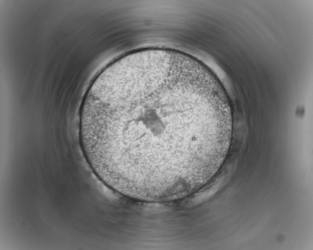 X0000100950807200807221120