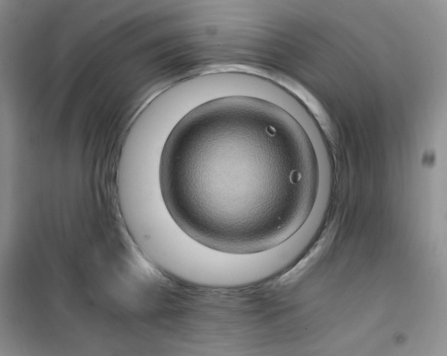 X0000100950809200807221119