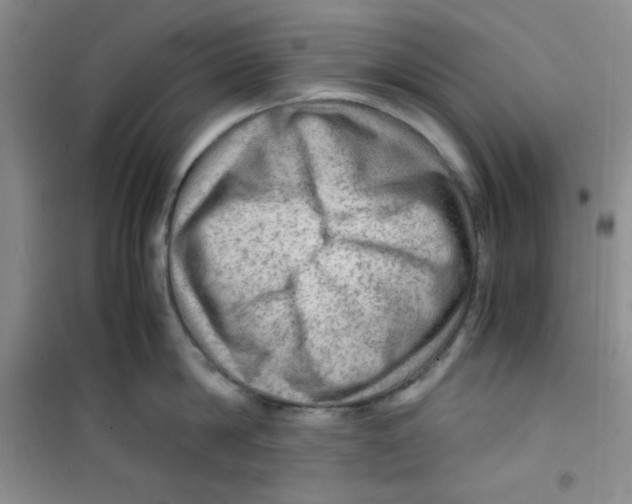 X0000100950814200807221119