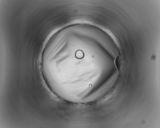 X0000100950815200807221119