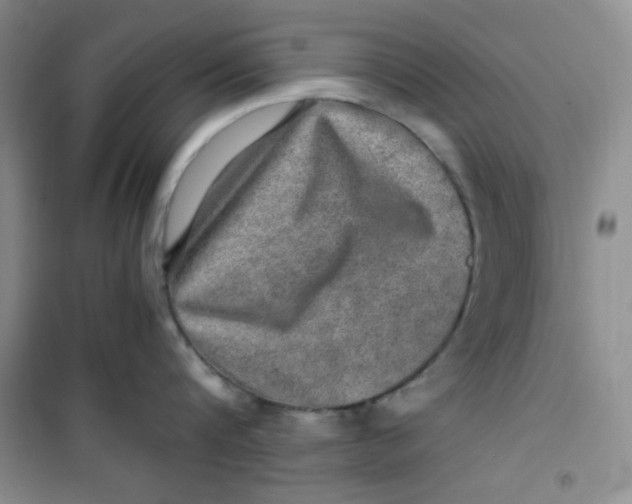 X0000100950816200807221119