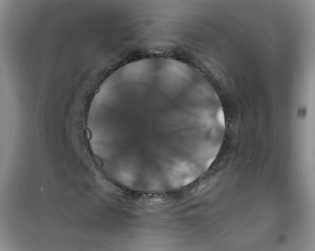 X0000100950817200807221119