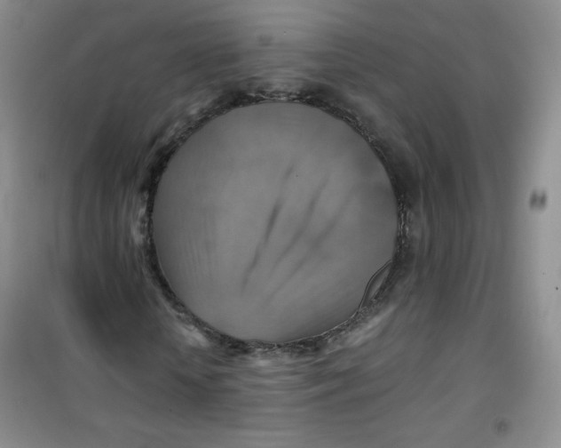 X0000100950818200807221119