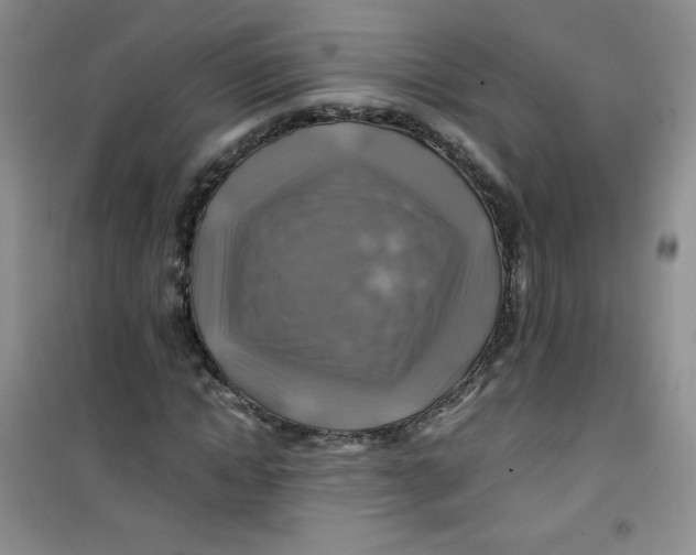 X0000100950822200807221119