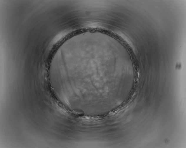 X0000100950823200807221119