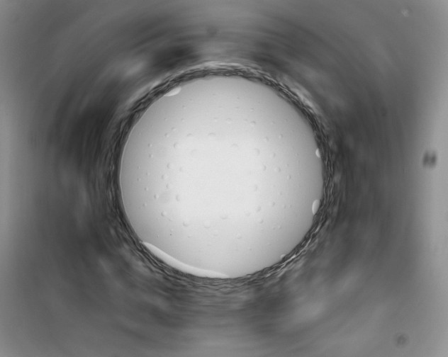 X0000100950824200807221119