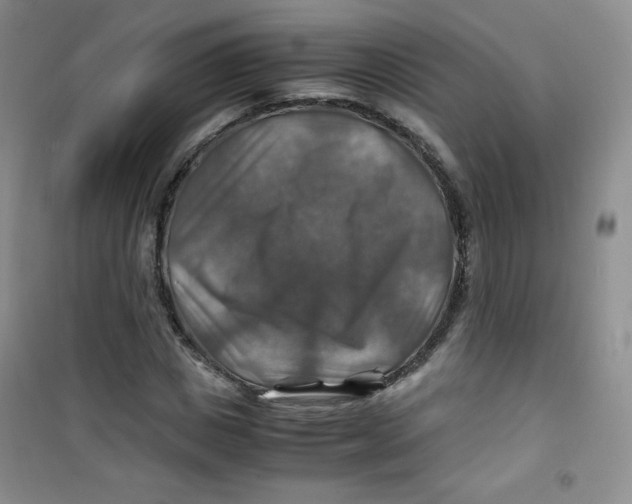 X0000100950825200807221119