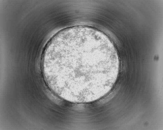 X0000100950828200807221119