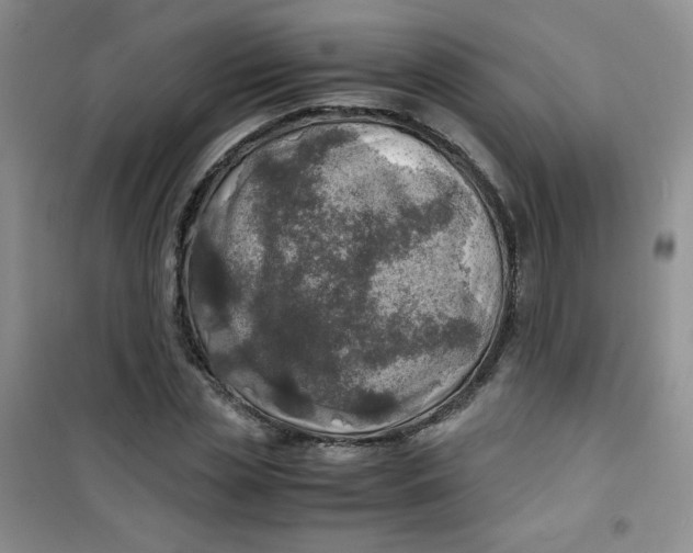 X0000100950829200807221119