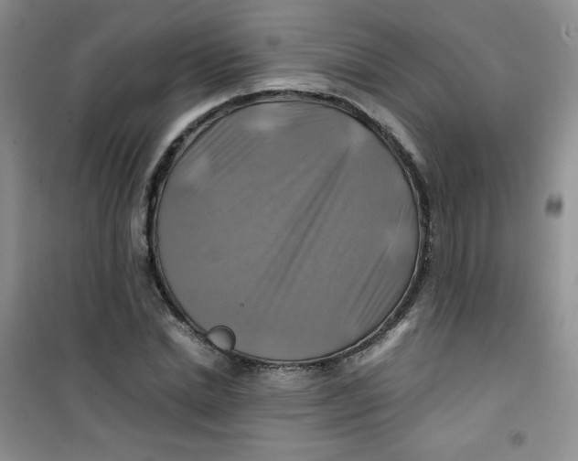 X0000100950830200807221119