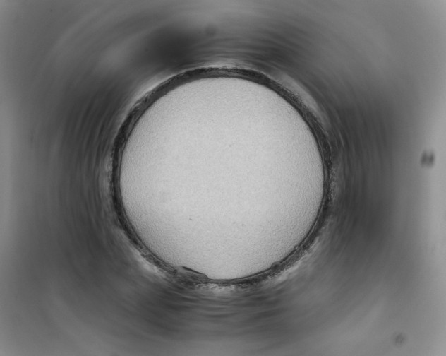 X0000100950831200807221119