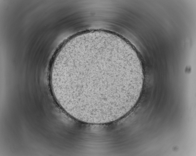 X0000100950832200807221119