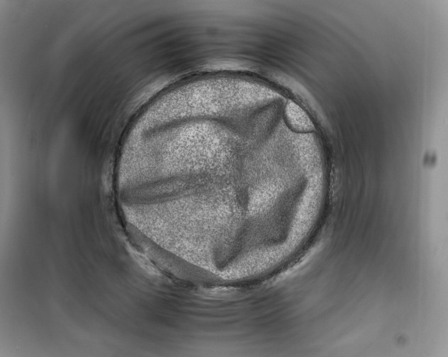 X0000100950833200807221119