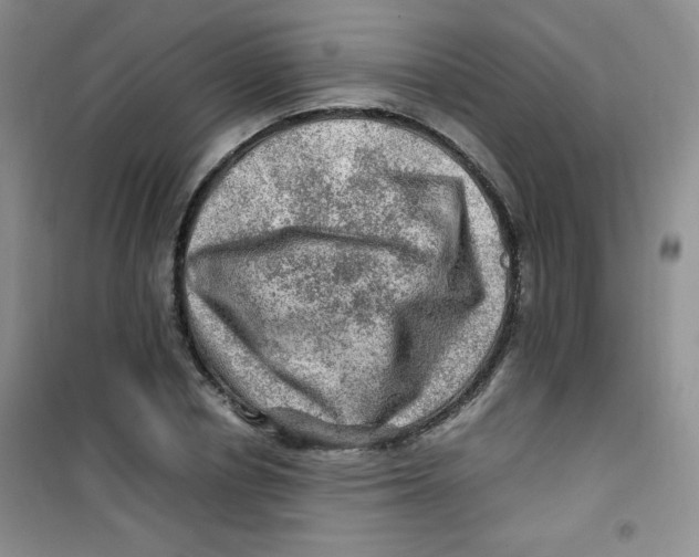 X0000100950834200807221119