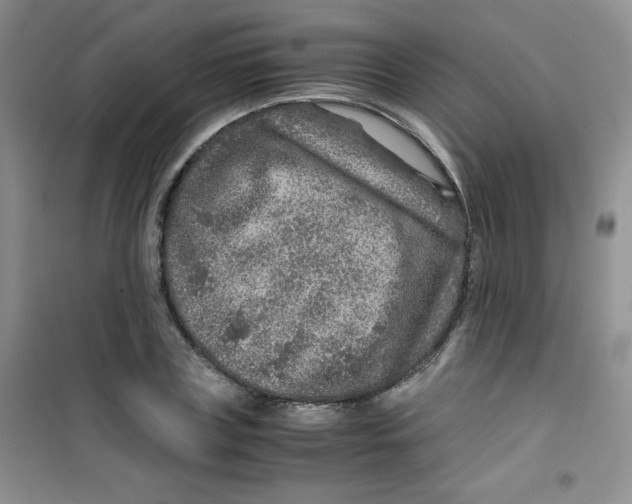 X0000100950835200807221119