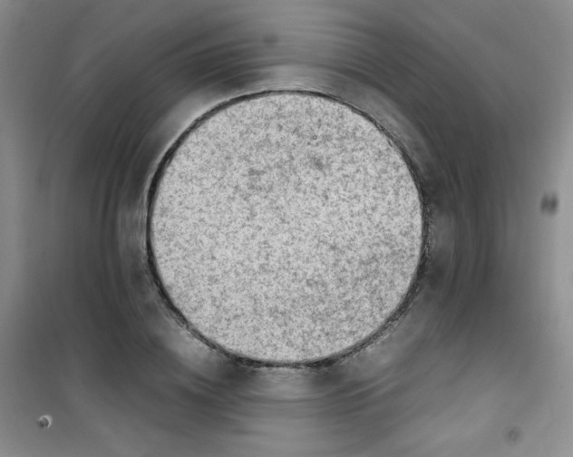 X0000100950836200807221119