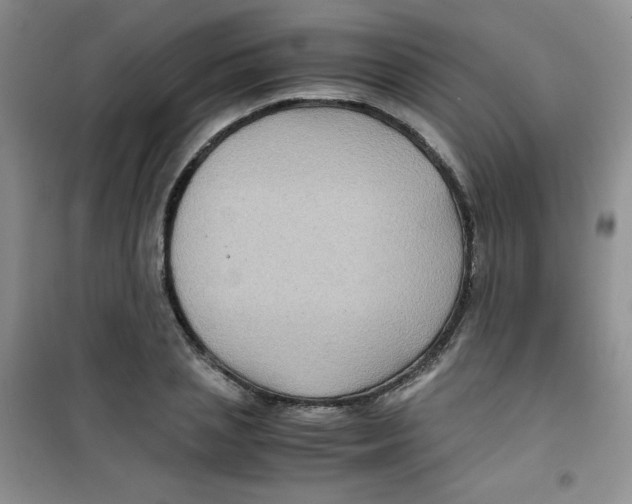 X0000100950837200807221119