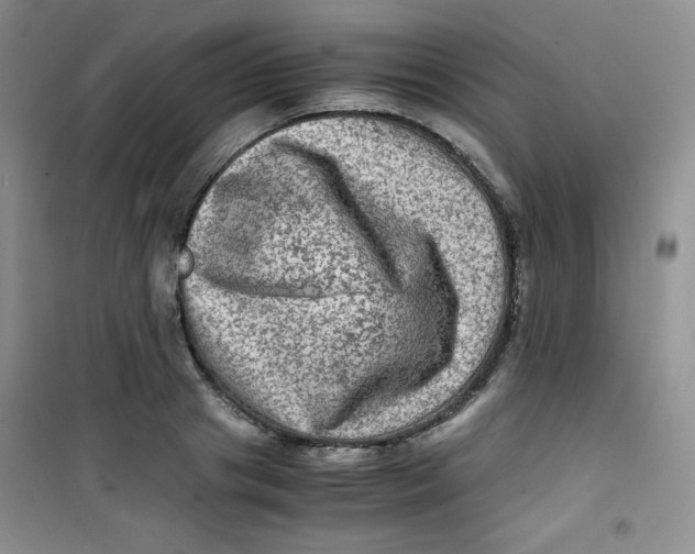 X0000100950841200807221119