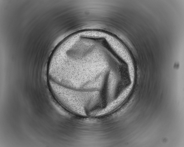 X0000100950842200807221119