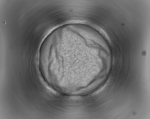 X0000100950844200807221119