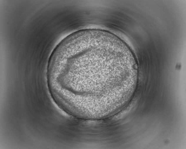 X0000100950847200807221119