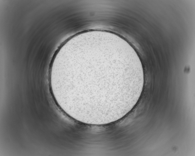 X0000100950848200807221119