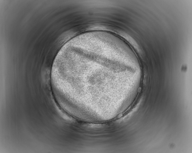 X0000100950849200807221119