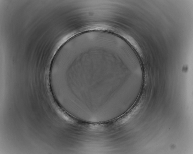 X0000100950850200807221119