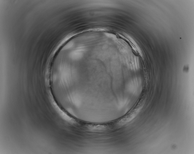 X0000100950851200807221119