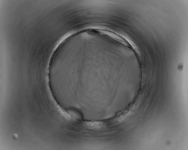 X0000100950853200807221119